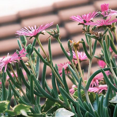 Comecasa Flowery Terraced Apartment Milano Dış mekan fotoğraf